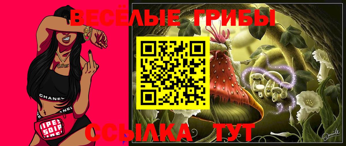 Славгород  Псилоцибиновые грибы ЛСД  Вход с VPN 